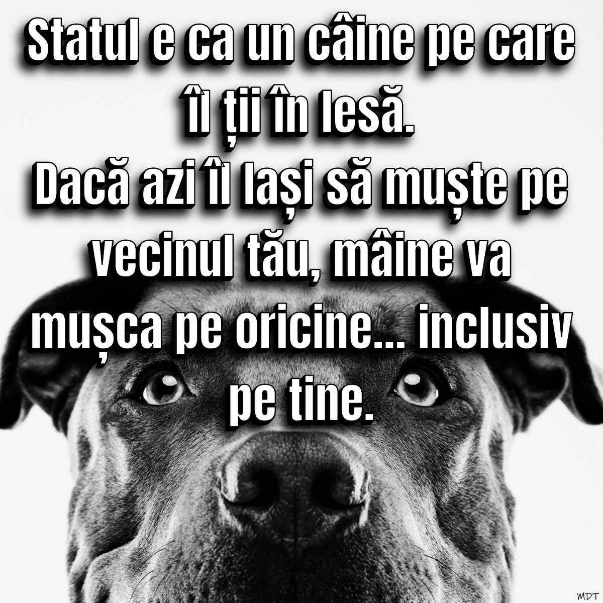 mariandidthis's tweet photo. #Romania #Bucuresti #Libertate #Politica #Tiranie #Coruptie #TrezesteTe #Rezistenta #StatulInLesa #Mafie #AbuzDePutere #Drepturi
⚠️ AVERTISMENT ⚠️
LESĂ SCURTĂ = LIBERTATE PUȚINĂ https://t.co/EiKfIfFyqi