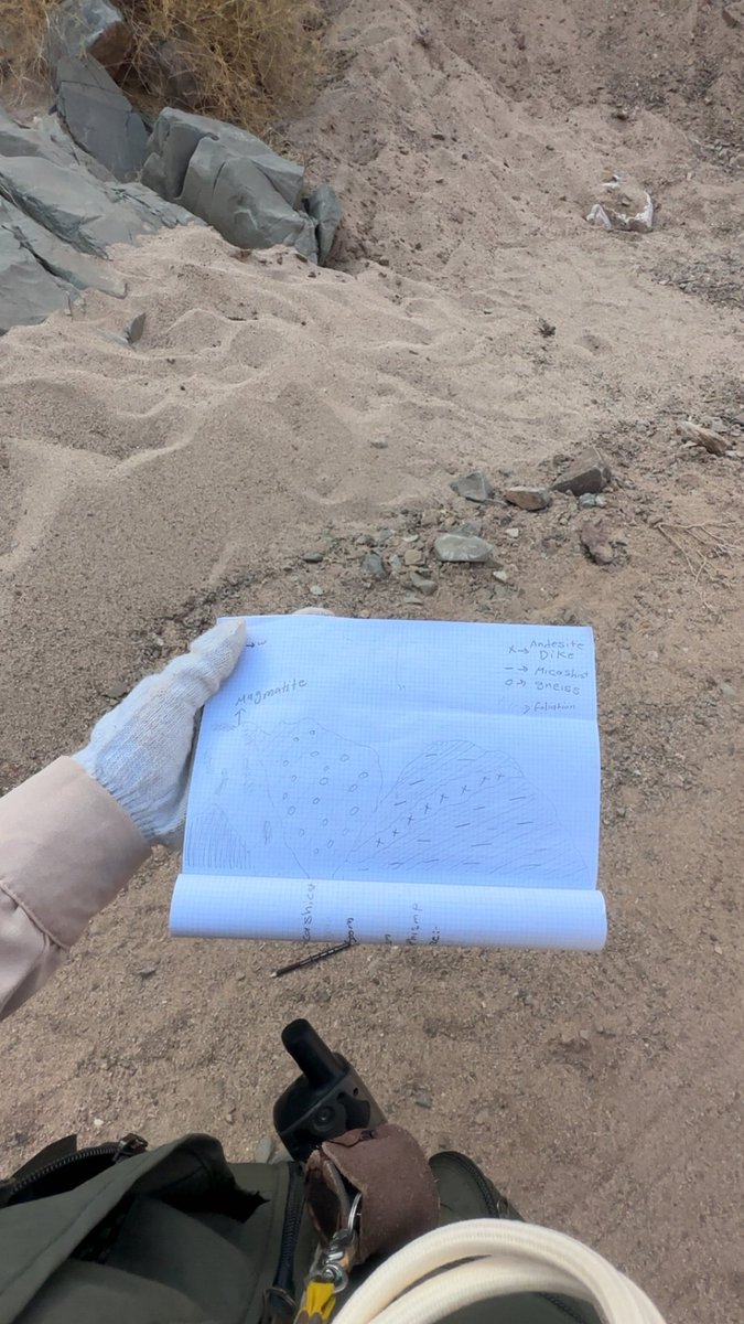 geo . Layan Alhendi tweet media