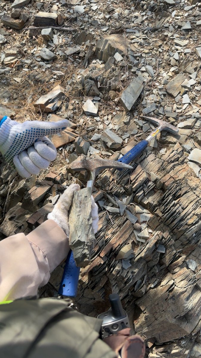 geo . Layan Alhendi tweet media