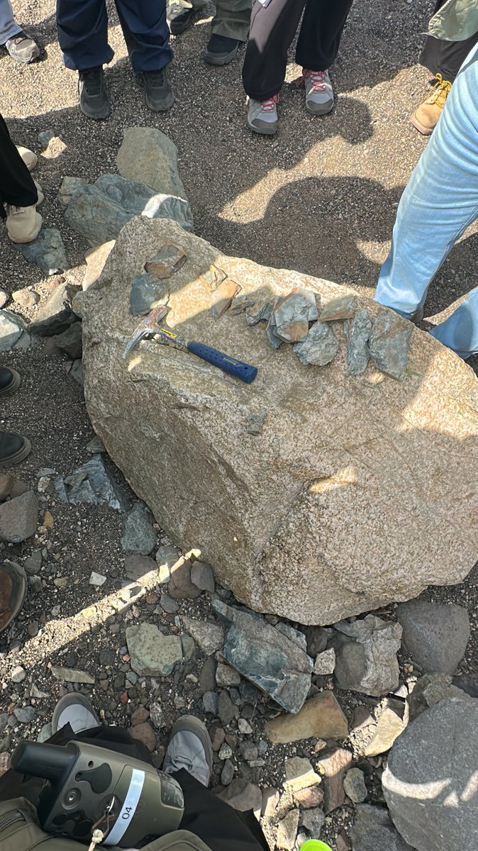 geo . Layan Alhendi tweet media