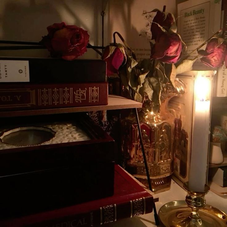 kkas⁷ 🦇 tweet media