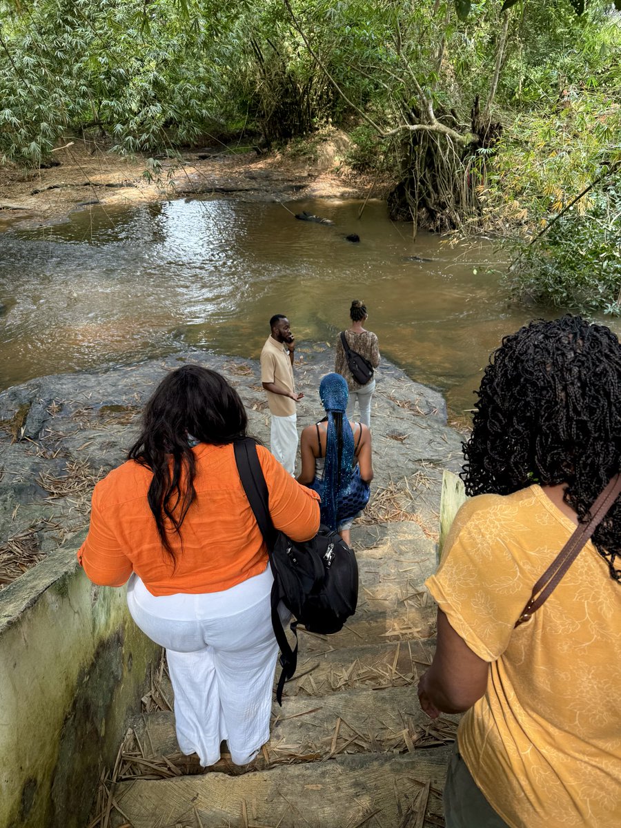 reebs 🌿 tweet media