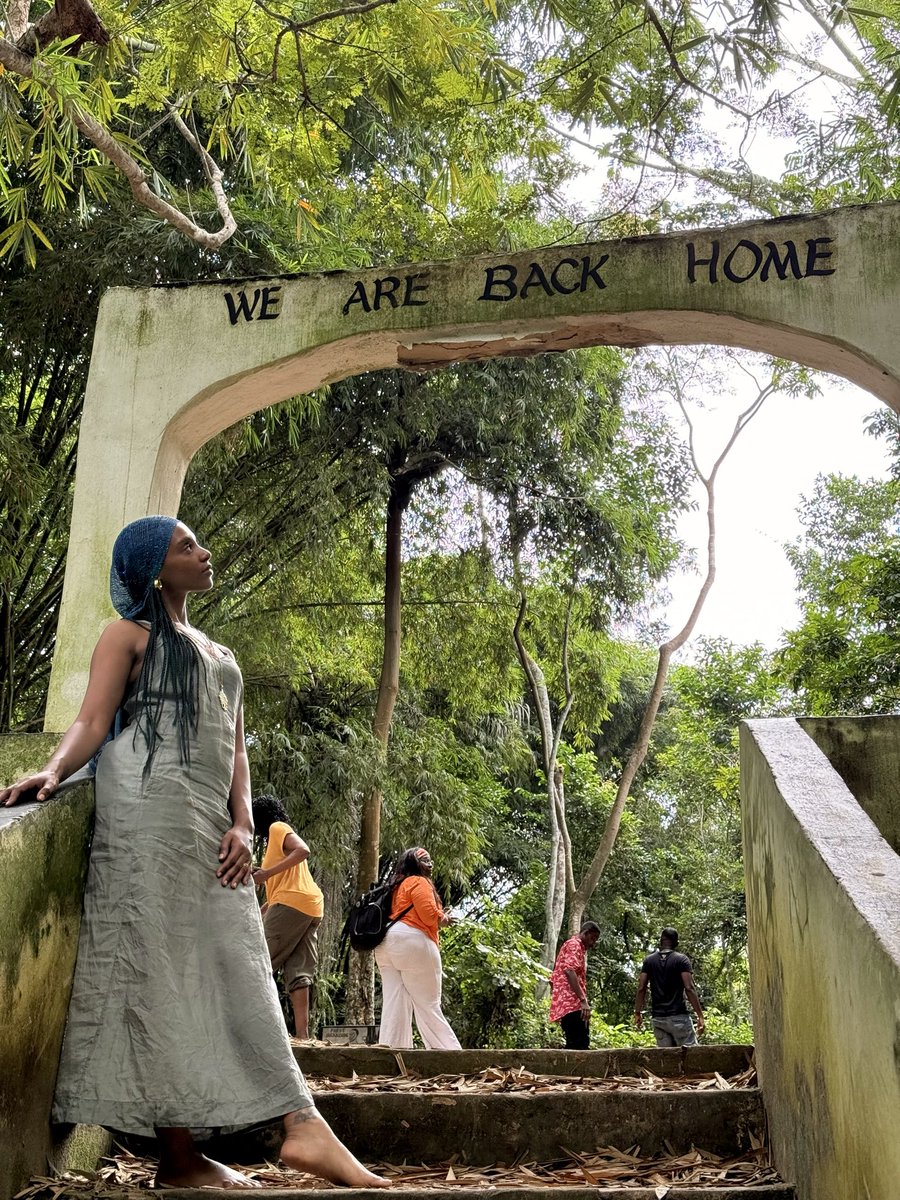 reebs 🌿 tweet media