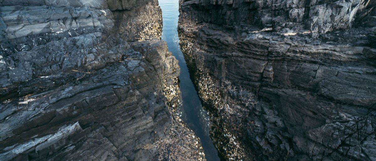 ABA International tweet media