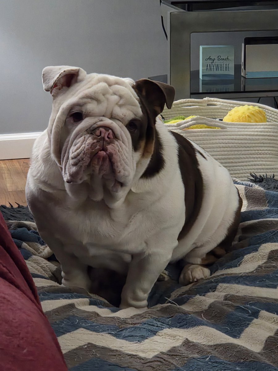 Kurt Marmor tweet media