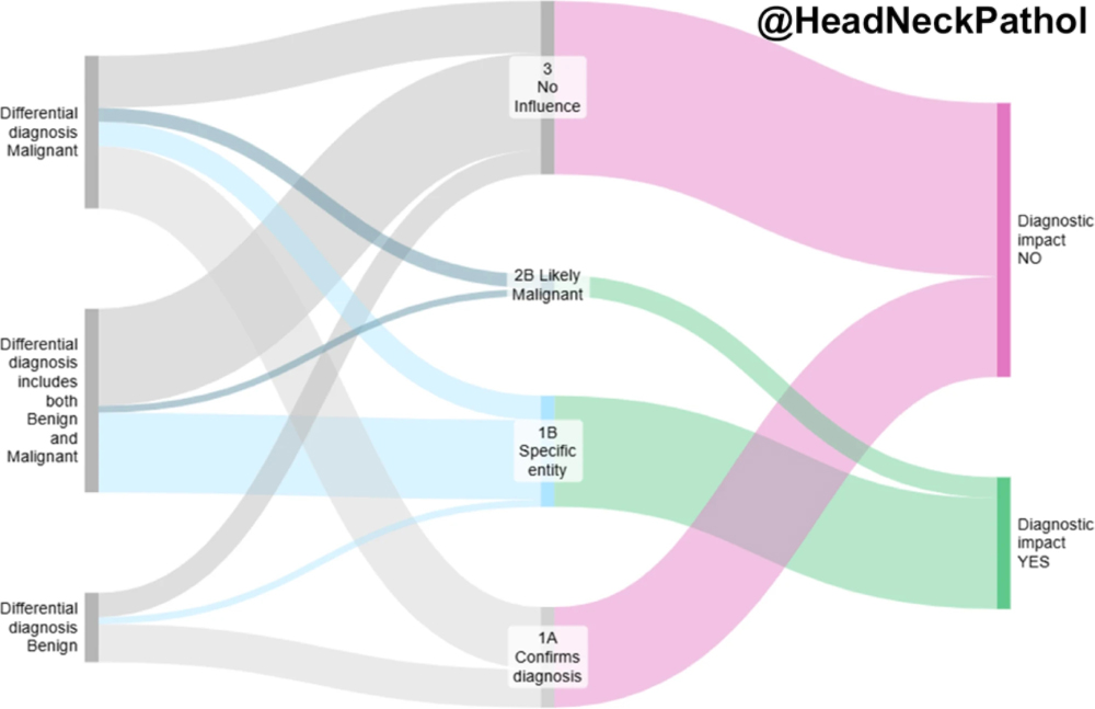 Head Neck Pathol tweet media