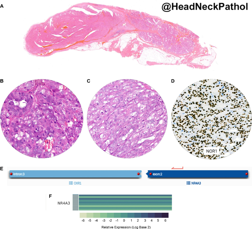Lester Thompson tweet media