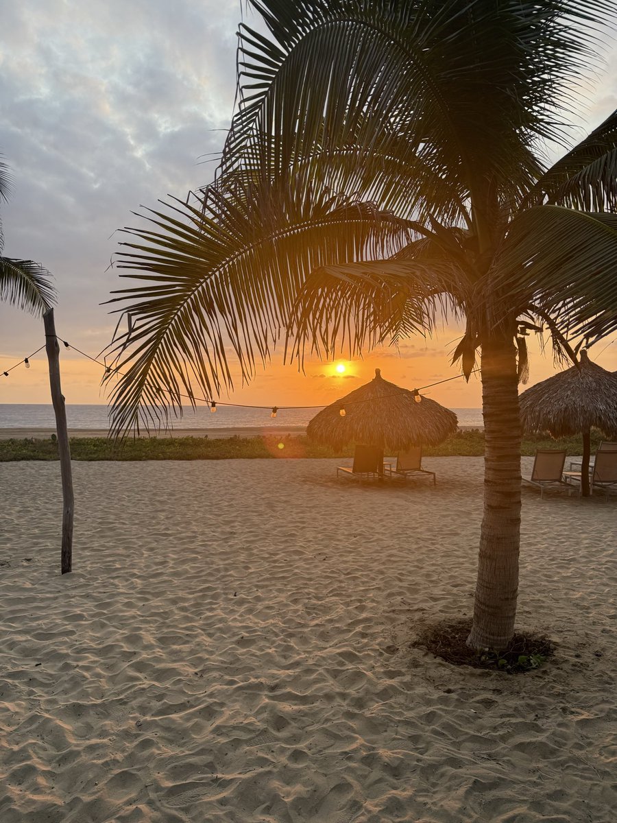 Aaron O'Callaghan tweet media