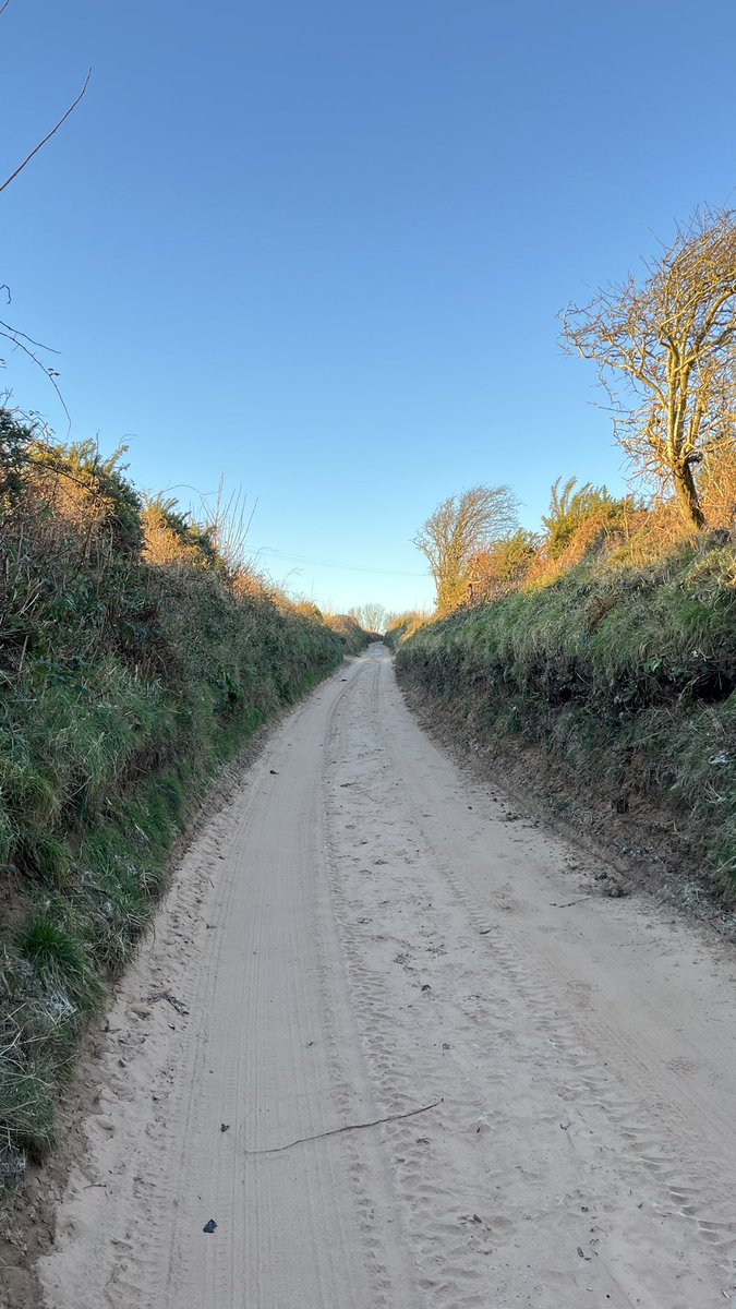 CharlesBewley2's tweet photo. @PhilSipocz Had a little walk down a very sandy lonning out west #Gosforth #Seascale #Holmrook https://t.co/aySqLELUhL