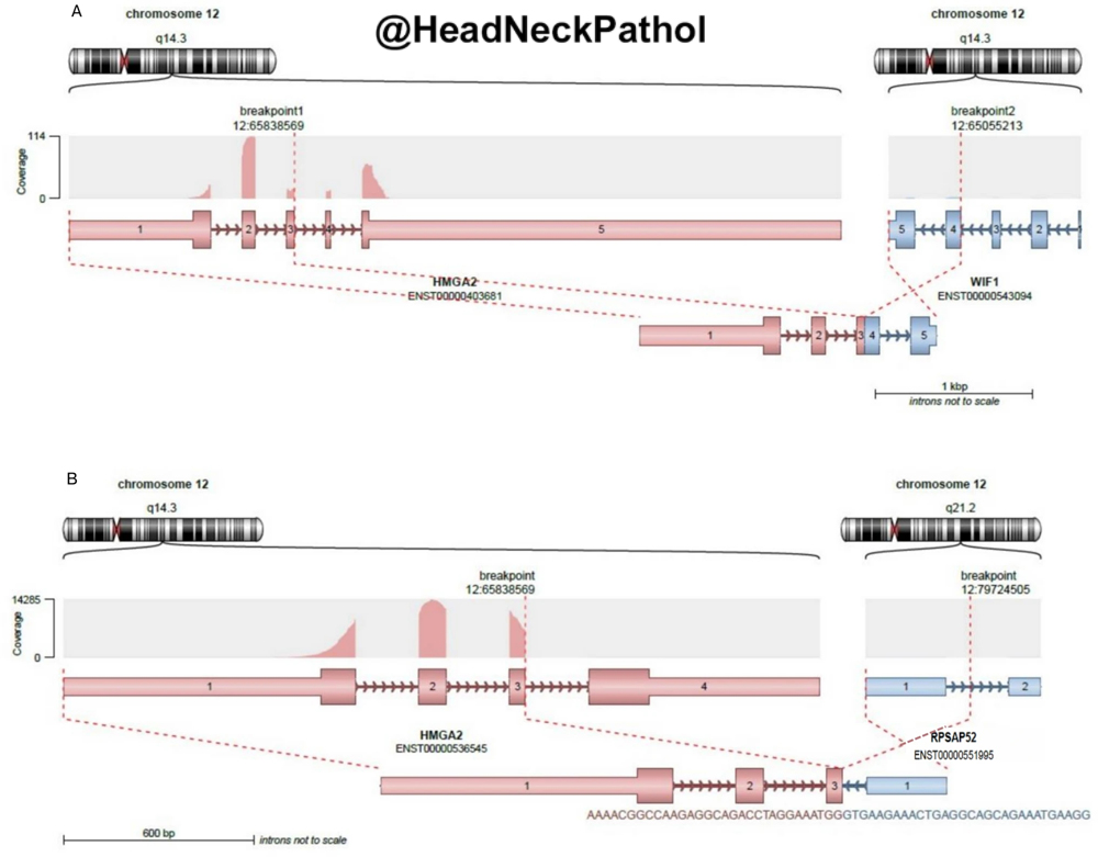 Lester Thompson tweet media
