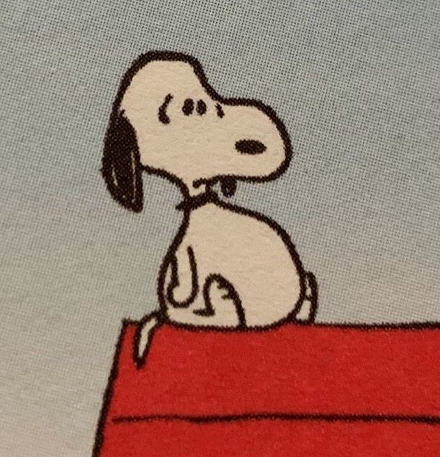 strwbrrysof's tweet image. ⋆｡°✩ 𝒻𝒾𝓍𝒶𝒹𝑜 𝒶𝓉é 𝑜𝓈 50,0𝓀𝓰