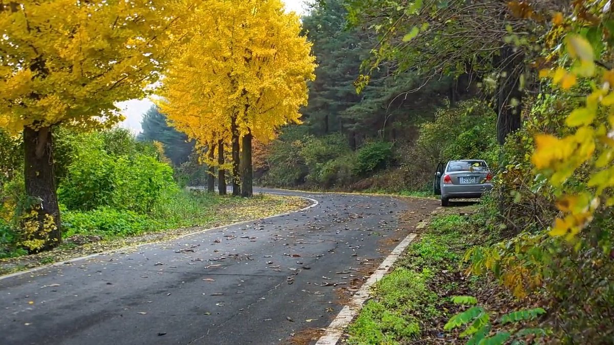 no other choice (2025) dir. park chan-wook