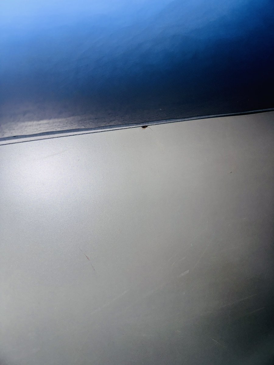 mucktd's tweet photo. Train 12447 | Chitrakoot → NZM
Coach B2 | Seats 68, 72, 66
Severe cockroach &amp; pest infestation in coach and around seats.
Complaint on 139 — no action yet.
Near Jhansi Jn. Immediate cleaning required. https://t.co/XKgaxuSUhj