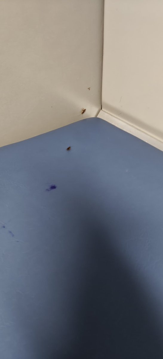 mucktd's tweet photo. Train 12447 | Chitrakoot → NZM
Coach B2 | Seats 68, 72, 66
Severe cockroach &amp; pest infestation in coach and around seats.
Complaint on 139 — no action yet.
Near Jhansi Jn. Immediate cleaning required. https://t.co/XKgaxuSUhj