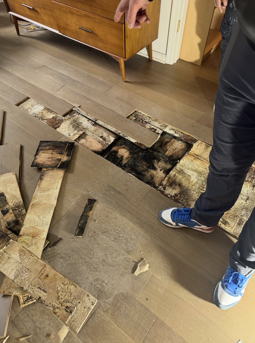 Brittymigs's tweet image. they found a bunch of mold under my floor but i did not become a terf because i am better and stronger than jk rowling