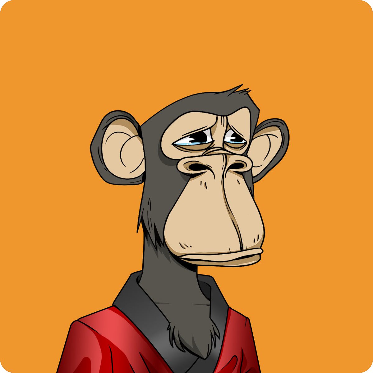 Ladies of BAYC (@LadiesofBAYC) / Posts / X