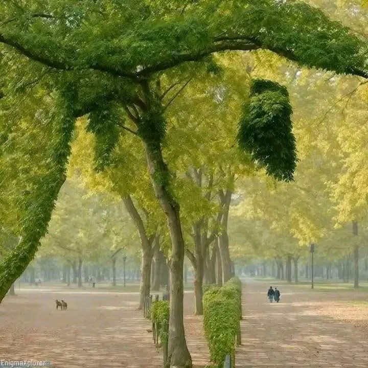 Elçin 🧏‍♀️♥️Bilgin🥸 (@kingeryaman48) on Twitter photo 