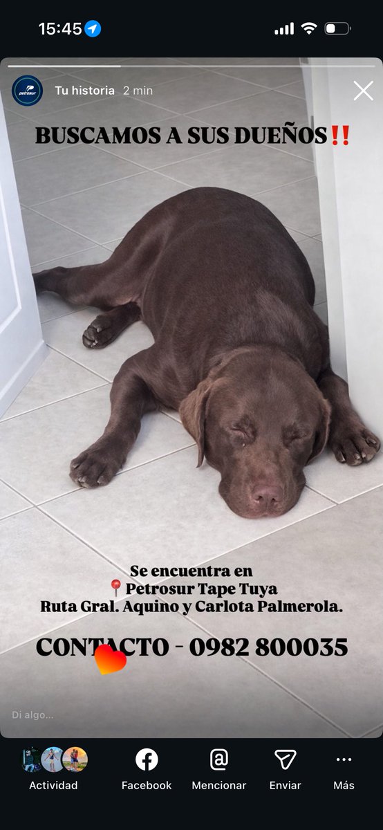BUSCAMOS A SUS DUEÑOS‼️‼️ RT RT RT