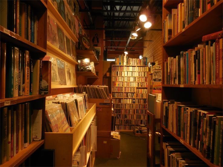 izabelicp's tweet photo. 𓂃⊹ ࣪⭒livros lidos em 2026 ࣪˖ ⋆
                             — ᴀ ᴛʜʀᴇᴀᴅ. ⋆ 𐙚 ̊. https://t.co/YVkxoPSE76