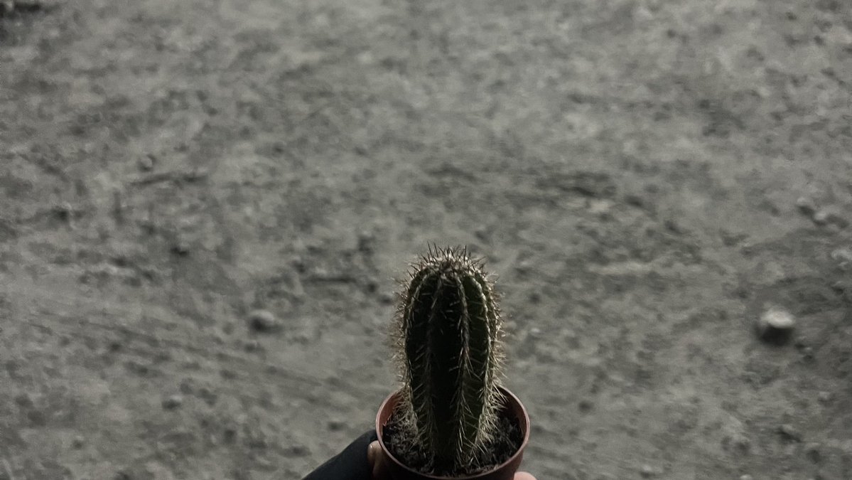 _a18th's tweet image. 💓