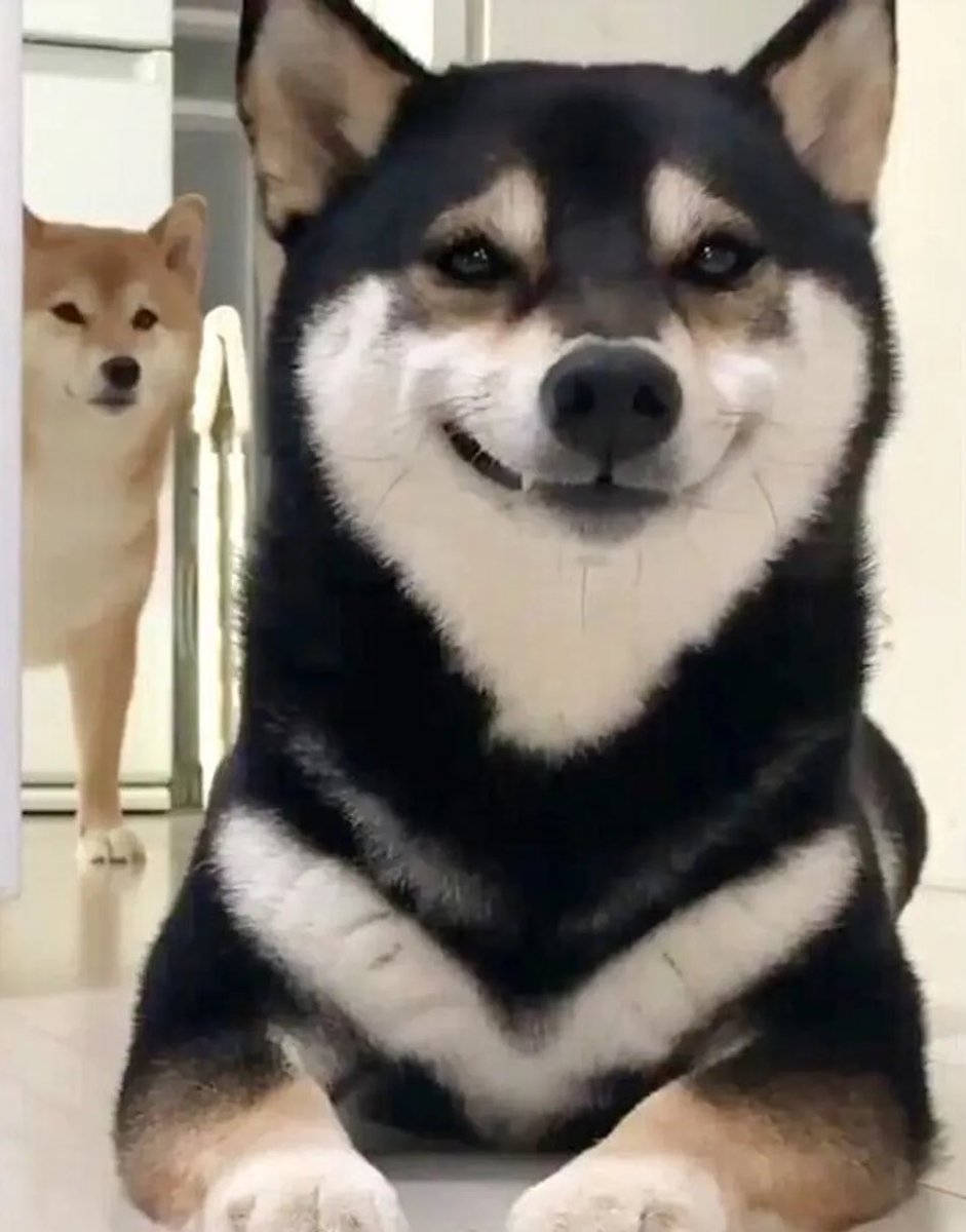 코노미  このみ tweet media