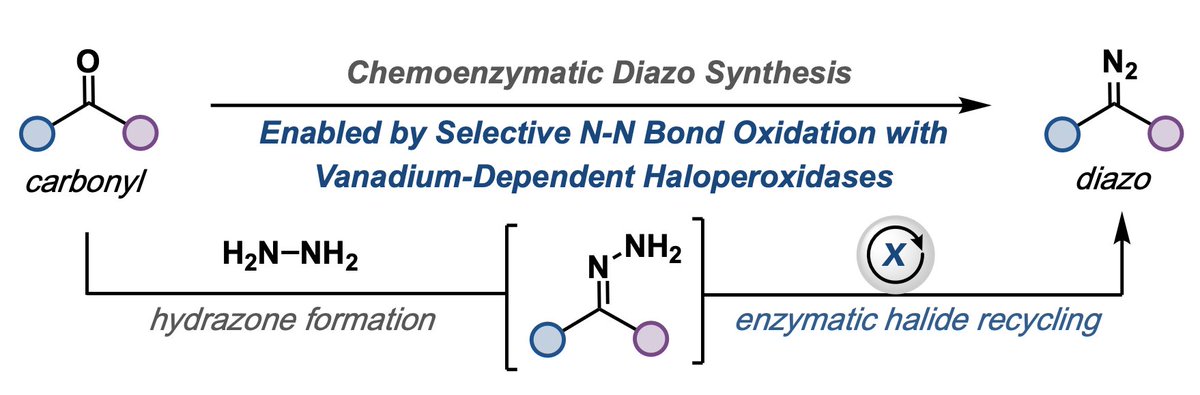 Kyle F. Biegasiewicz tweet media