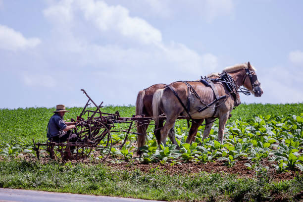 Me going to work today and not spinning up 67 Claude Code subagents