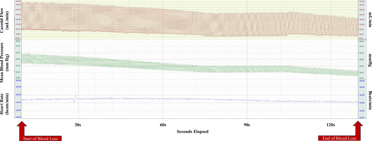 Deepika Sankaran tweet media