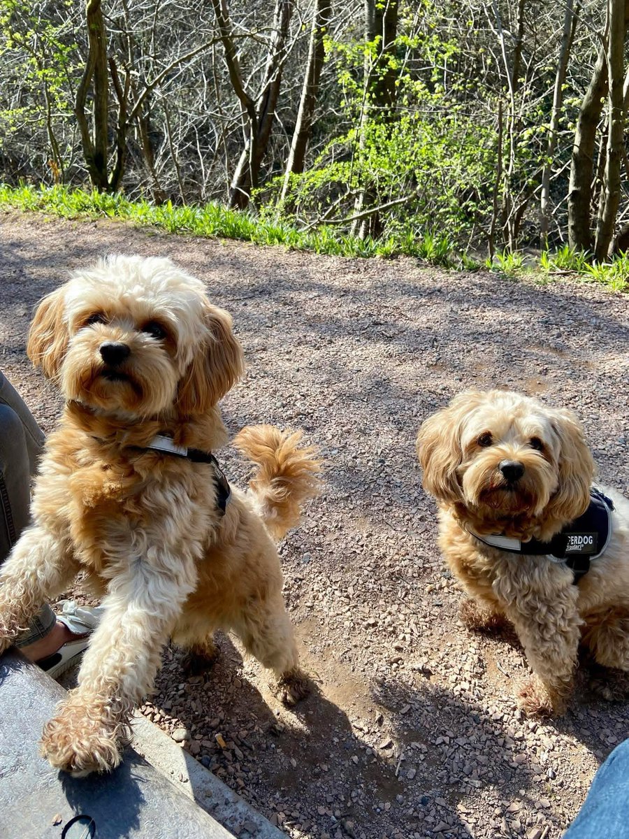 softwingss's tweet image. can’t believe my baby boy is 5 today wtf