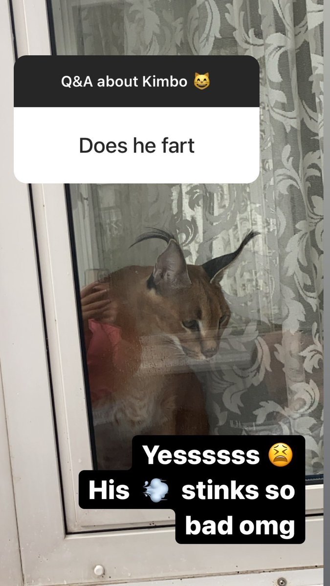 Sixrande's tweet image. 