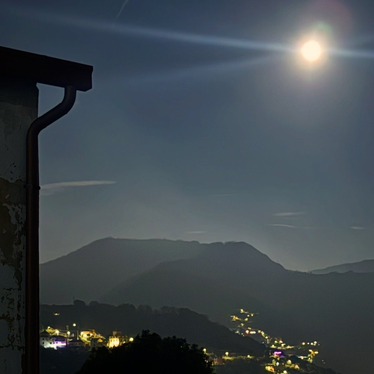 𝓻𝓮𝓪𝓵𝓭𝓪𝓷𝓷𝓷𝓪𝓵𝓮𝓼𝓼𝓪𝓷𝓭𝓻𝓸🐬 tweet media