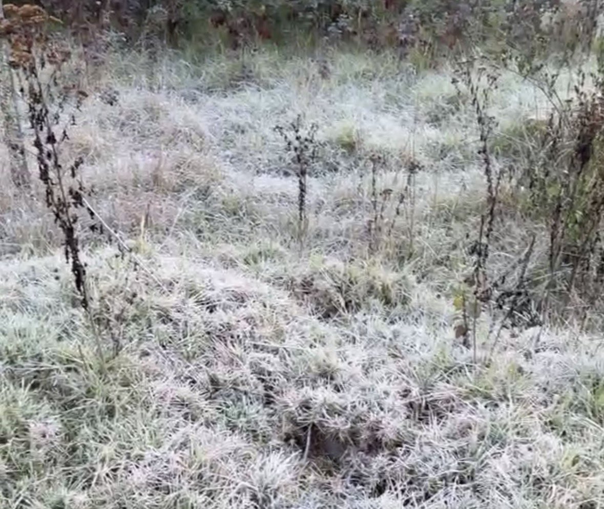 AlertaChiapas's tweet image. 🥶 Así amanece San Cristóbal de las Casas con una nueva helada

Las bajas temperaturas se hicieron sentir desde las primeras horas de este día, con registros bajo cero en distintos puntos de la ciudad. 

#SanCristobalDeLasCasas #Chiapas