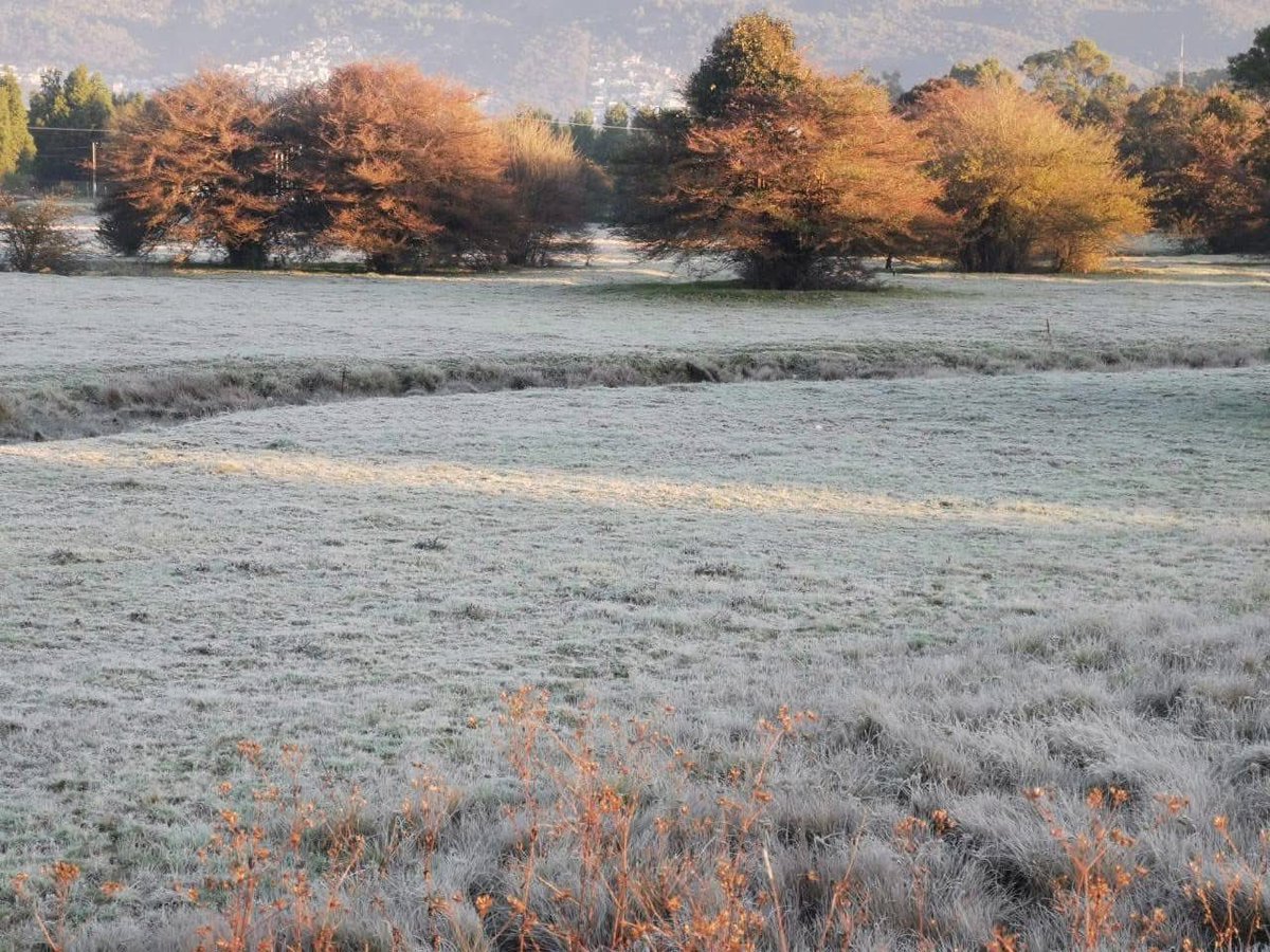 AlertaChiapas's tweet image. 🥶 Así amanece San Cristóbal de las Casas con una nueva helada

Las bajas temperaturas se hicieron sentir desde las primeras horas de este día, con registros bajo cero en distintos puntos de la ciudad. 

#SanCristobalDeLasCasas #Chiapas