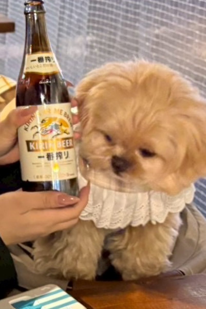 母に付き合わされる息子の顔を見て欲しい