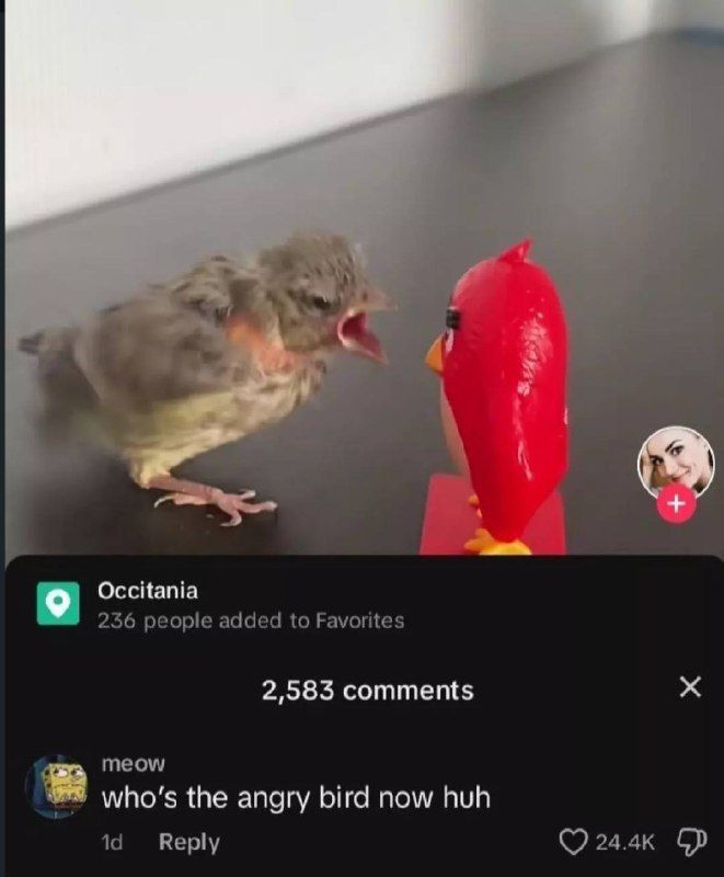 nocontextmemes's tweet image. 