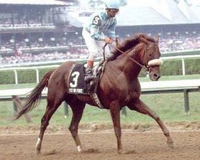 HORSERACING1002's tweet photo. FLY SO FREE 🇺🇸 1988
(TIME FOR A CHANGE - FREE TO FLY BY STEVWARD)
#FlySoFree
B/ Bruce Hundley /Wayne Garrison (Ky) Mar 3, 1988
O/ Thomas Valando
T/ Flint S Schulhofer
KEEJUL $80,000
33-12-5-3----$2,330,959
1990 Champion 2yo colt in USA 🇺🇸
Breeder's Cup Juvenile G1, Champagne S G1, Florida Derby G1, Jim Dandy S G2, Riva Ridge S G3, Fountain Of Youth G2, Fallhighweight H G2, Hutchenson S G2,
2nd Blue Grass S G1, Westchester H G3, Tom Fool S G2,
3rd Travers S G1, Dwyer S G2
Stood at Three Chimneys🇺🇸Sired 379 foals, 214 winners, 9 sw, Arabian Light, Captain Steve, Evee So Free, Free Vacation, Kossonova, Ever So Free, Fly Forever, Jimmy Z, Take The Cake,
Died October 21, 2003