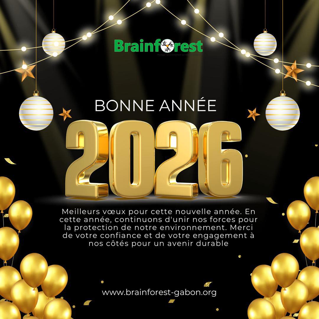 Brainforest Gabon tweet media