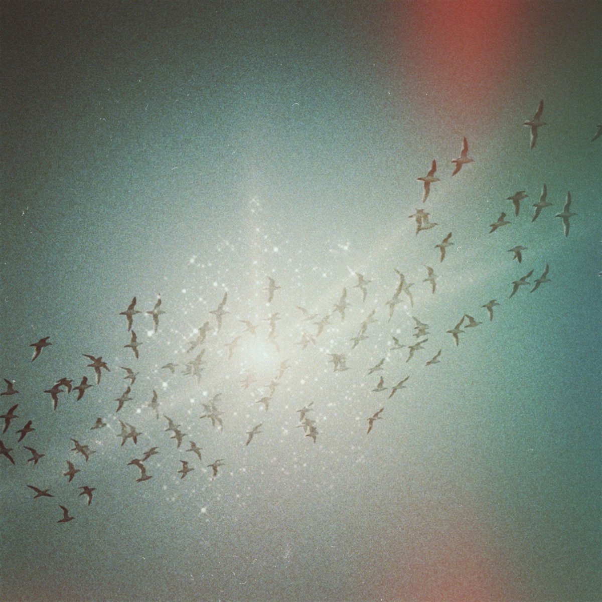 カネダ (@kindaichiii) on Twitter photo 