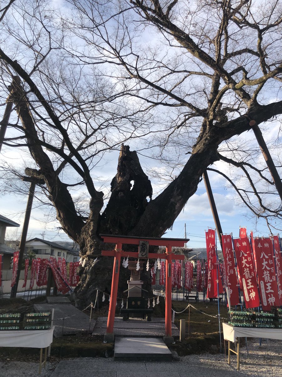 Naoco607's tweet image. 秩父今宮神社へ参拝。旧Twitterでご縁を頂いて訪れた神社。龍上観音様をみているといつも胸の奥がじんわり温かくなる。御神木の周りを吹く風は優しくて参拝のたび　慕わしさが込み上げる。☺️久々に引いたおみくじには　最近じわっと沁みていた言葉が、、。
今年もしっかり、真っ直ぐにゆくぞ。