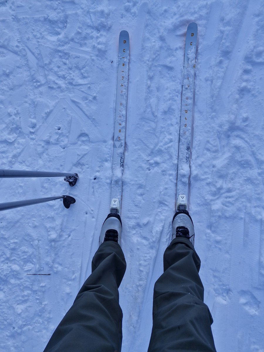 Verdammt, wie waren die Regeln nochmal?
Pizza, Pommes, Mayo...
Ja, so wars glaub. Geronimoooooo!!!
