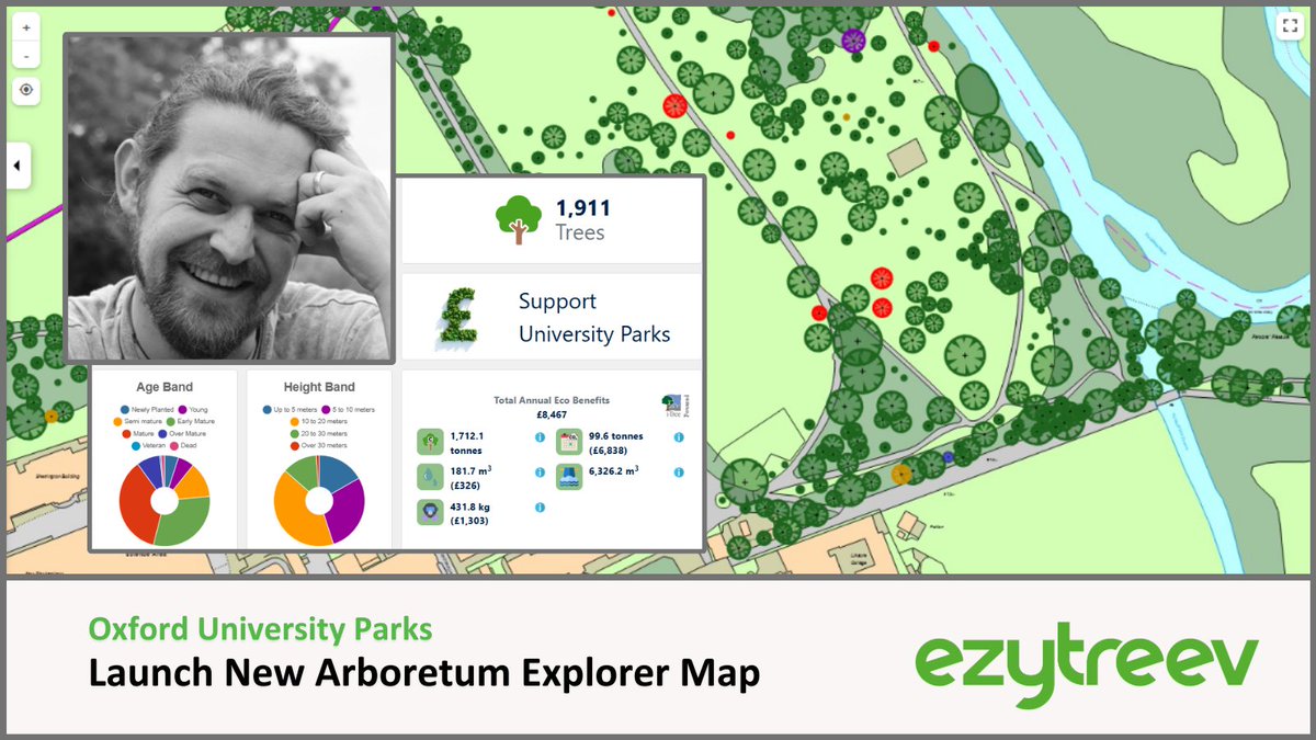 ezytreev tweet media