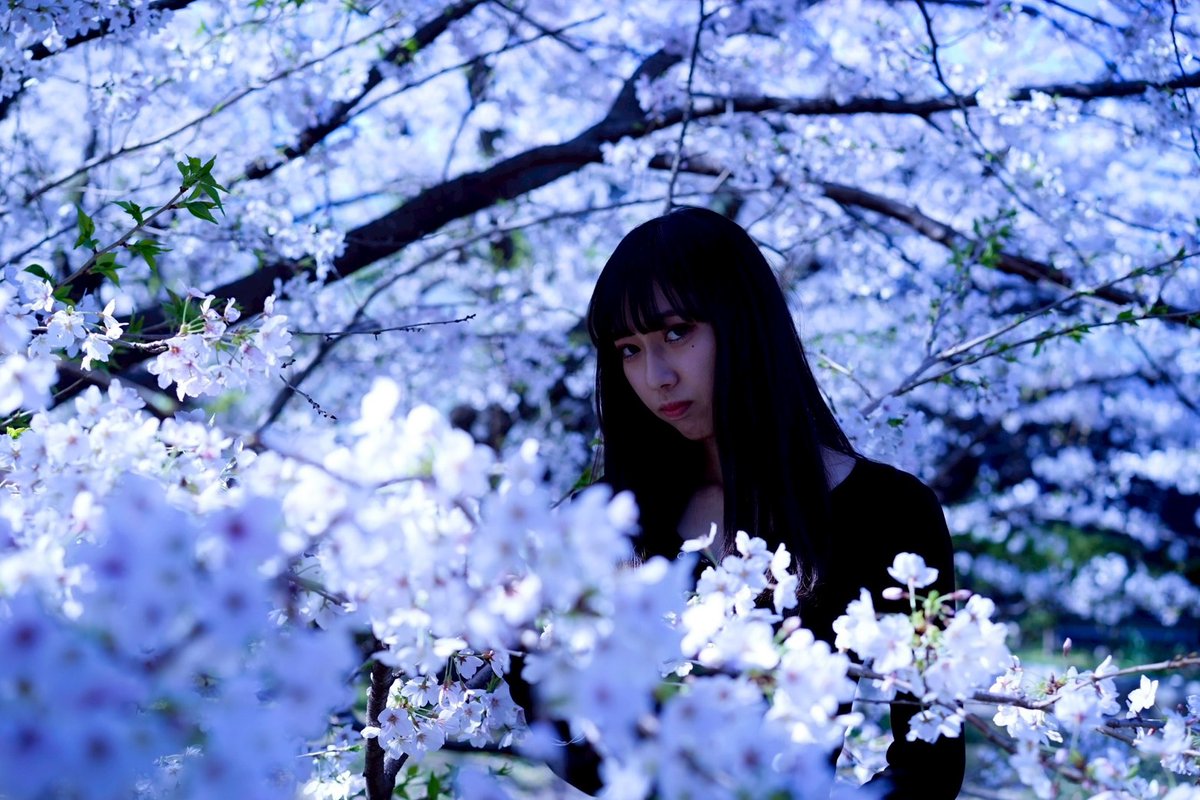 mufu_ron's tweet image. 【告】
1/18(日)11-16時、名古屋市内にて行ウ
夢腐論印ノ撮影會「羊獣戯寫-初陽ノ痕-」の
二次募集を行いまス

〇募集枠
個人枠（北杜災禍、甘原瑕疵、佐々忌天誅）
団体枠（全被写体を少しずつ、少人数で仲良ク撮影）
共に若干数

〇募集期間
1/8(木)22:00-10(土)23:59

〇結果連絡
1/11(日)-13(火)