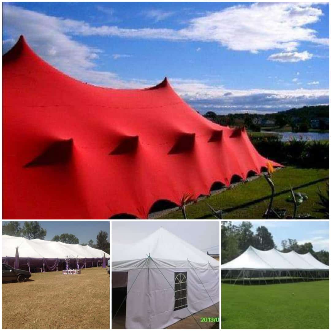 NANCY JASPER tweet media