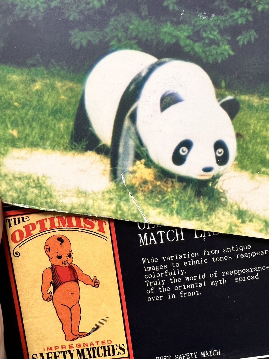 断捨離ちゅう 断捨離しようとして捨てれなかった紙ファイルボックスのパンダ(20年前