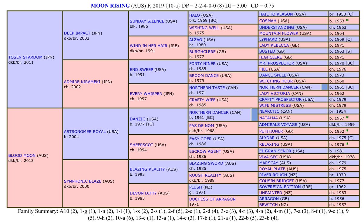 Lunar & Sunny 🐴 tweet media
