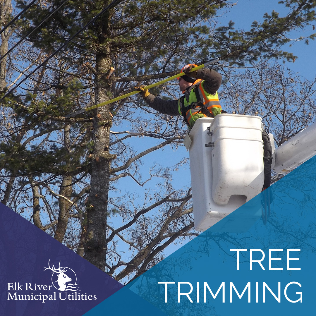 ERMU will be conducting #TreeTrimming in the Elk River area this winter as part of our ongoing effort to maintain safe, reliable #ElectricService by keeping trees and vegetation clear of power lines.

For more information on this #Safety program, visit ermumn.com/programs-rebat….
