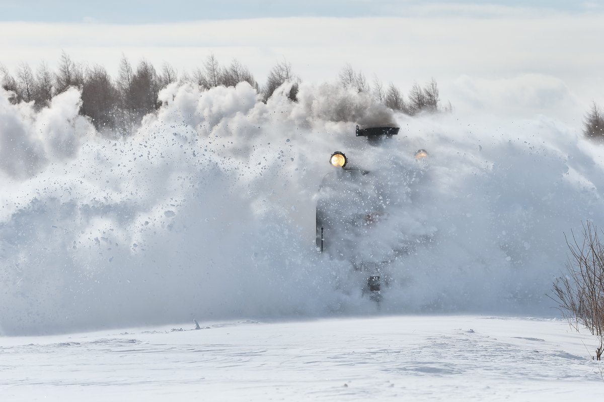 桐 哲 Yuji Okauchi 1/25 関西コミティアE-01 (@_okka3785) / Posts / X