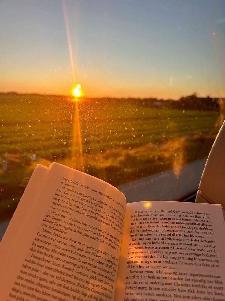 🪷Lilac tweet media