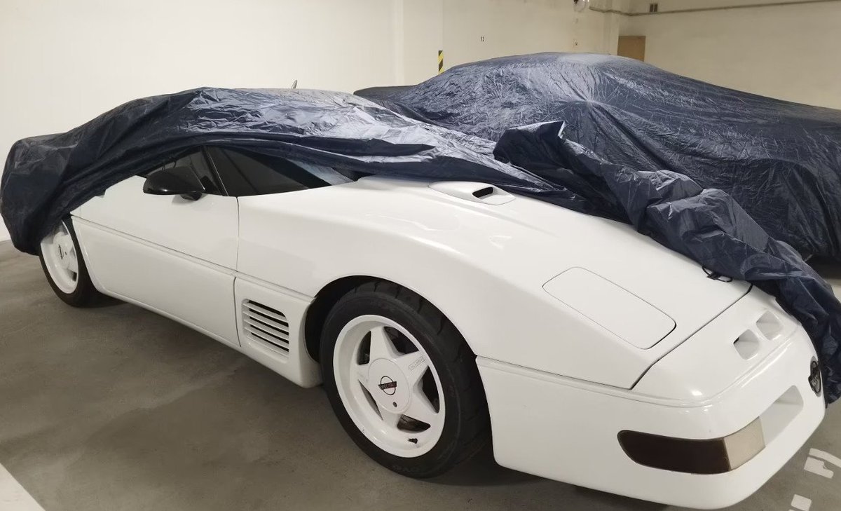 Lewis Kingston tweet media