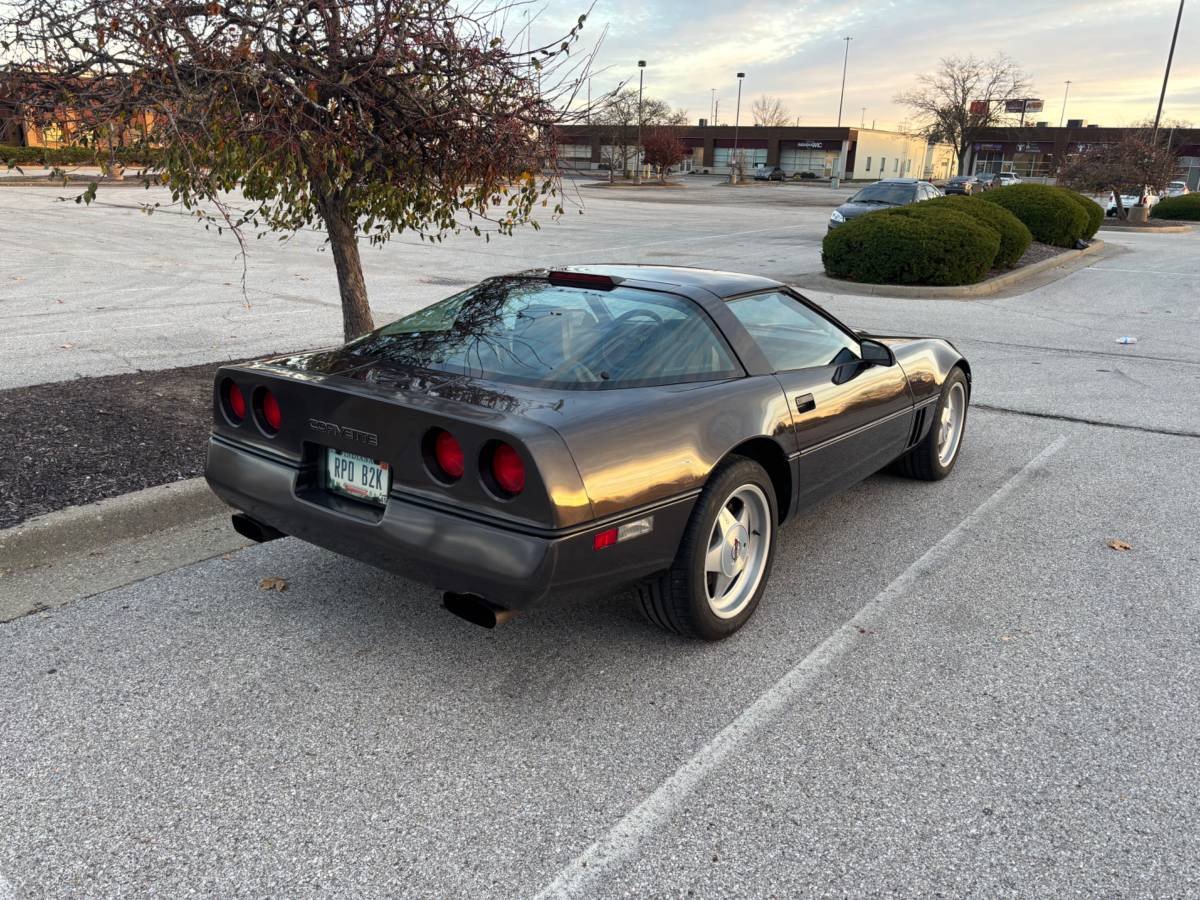 Lewis Kingston tweet media